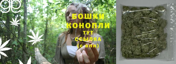 apvp Володарск